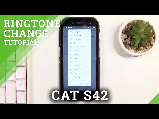 Video thumbnail for How to Change Ringtone on CAT S42 – Open Sounds Settings