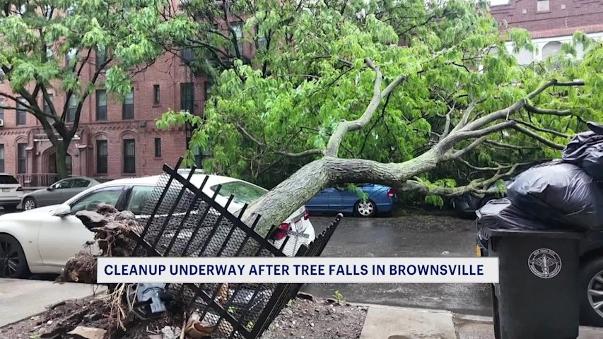 Video thumbnail for Memorial Day weekend storms bring down tree in Brownsville