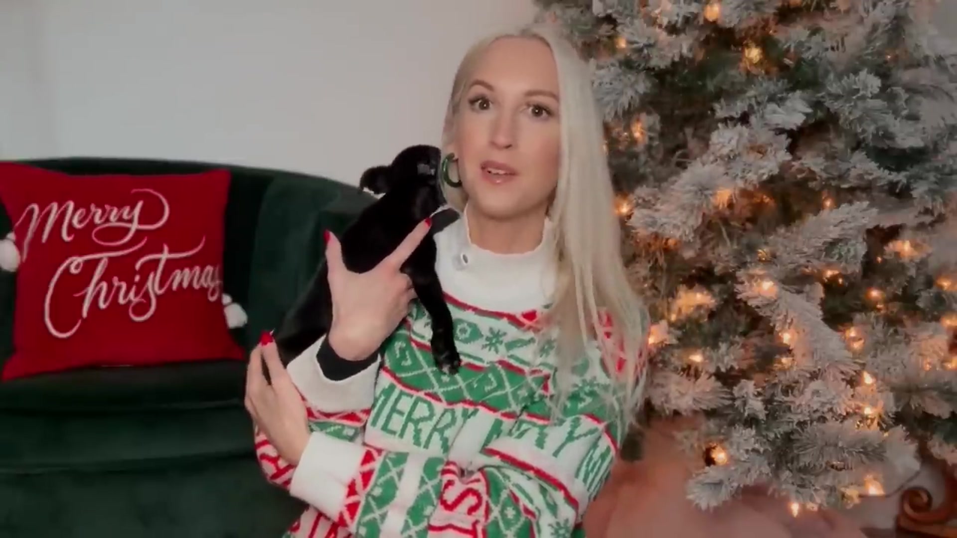 Video thumbnail for I Found the BEST Christmas Decor 2025 🎄 Collected Christmas decor Haul(720P_HD)