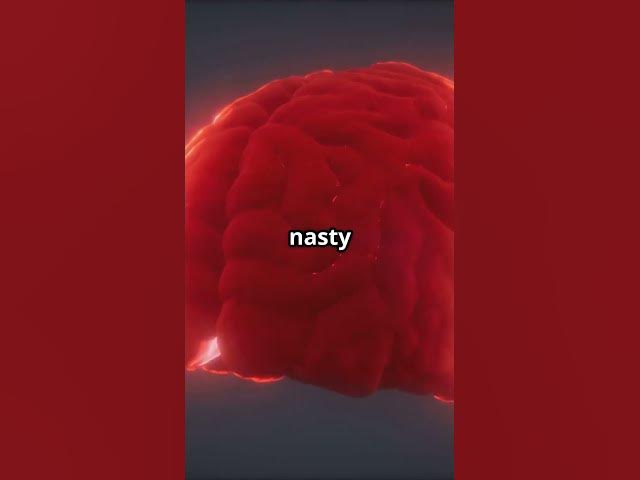 Video thumbnail for Groundbreaking TIM3 Research Offers New Hope For Alzheimer's Patients Everywhere