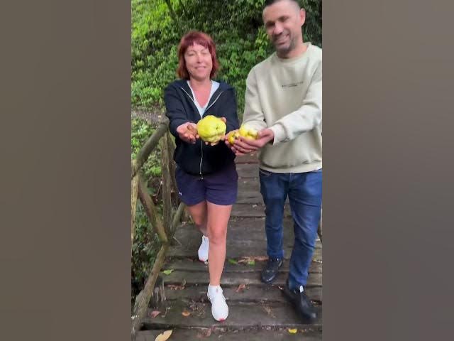 Video thumbnail for Beautiful Albania #almaçupi