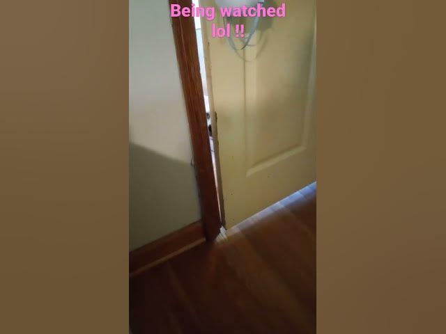 Video thumbnail for spied on to funny!