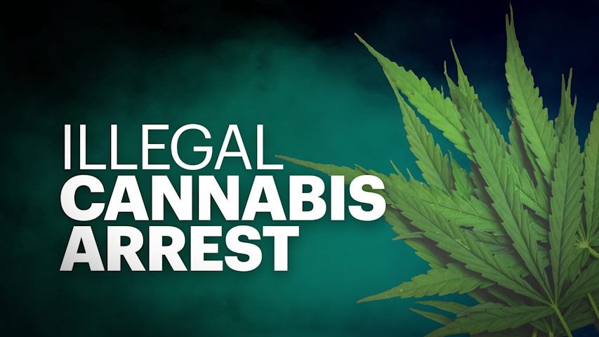 Video thumbnail for Southampton police seize 1,000 pounds of marijuana after reported home invasion