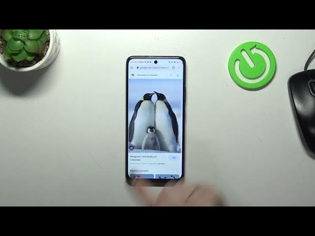 Video thumbnail for How to Clear Browser History on POCO X3 GT