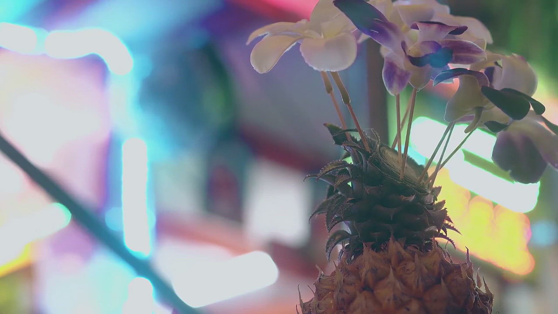 'Video thumbnail for Tips for Growing Pineapple in Your Backyard'