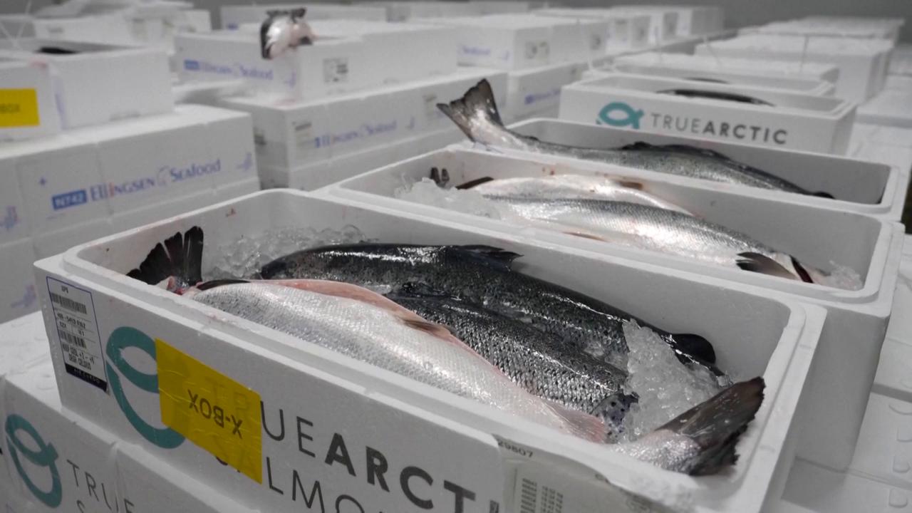 Video thumbnail for China: Chinese appetite grows for Norwegian salmon.