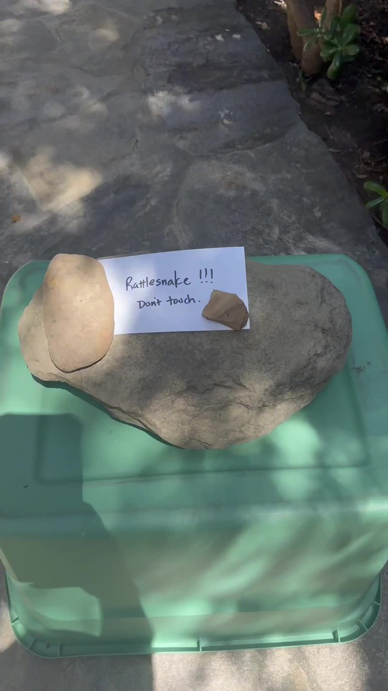 Video thumbnail for Rattlesnake Rescue from a Quiet Monastery Courtyard