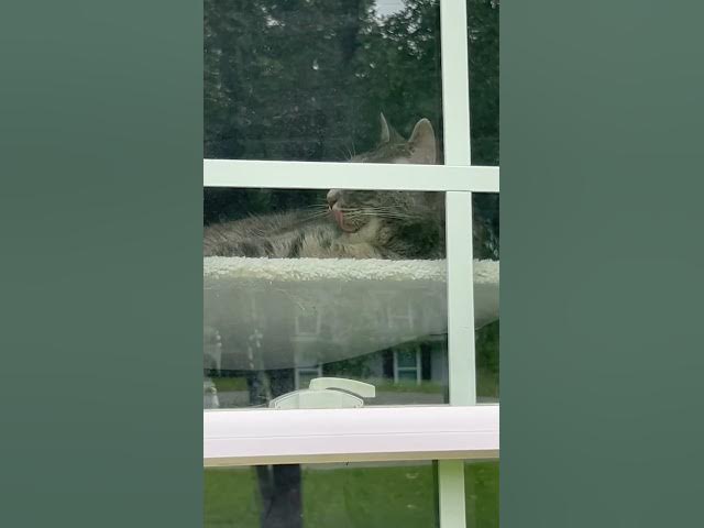 Video thumbnail for I’m celebrating my sister birthday today. #viralvideos #birthday