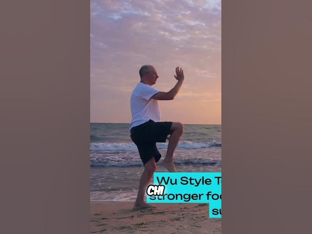 Video thumbnail for Tai Chi for Men Over 50  Stress Reduction Styles