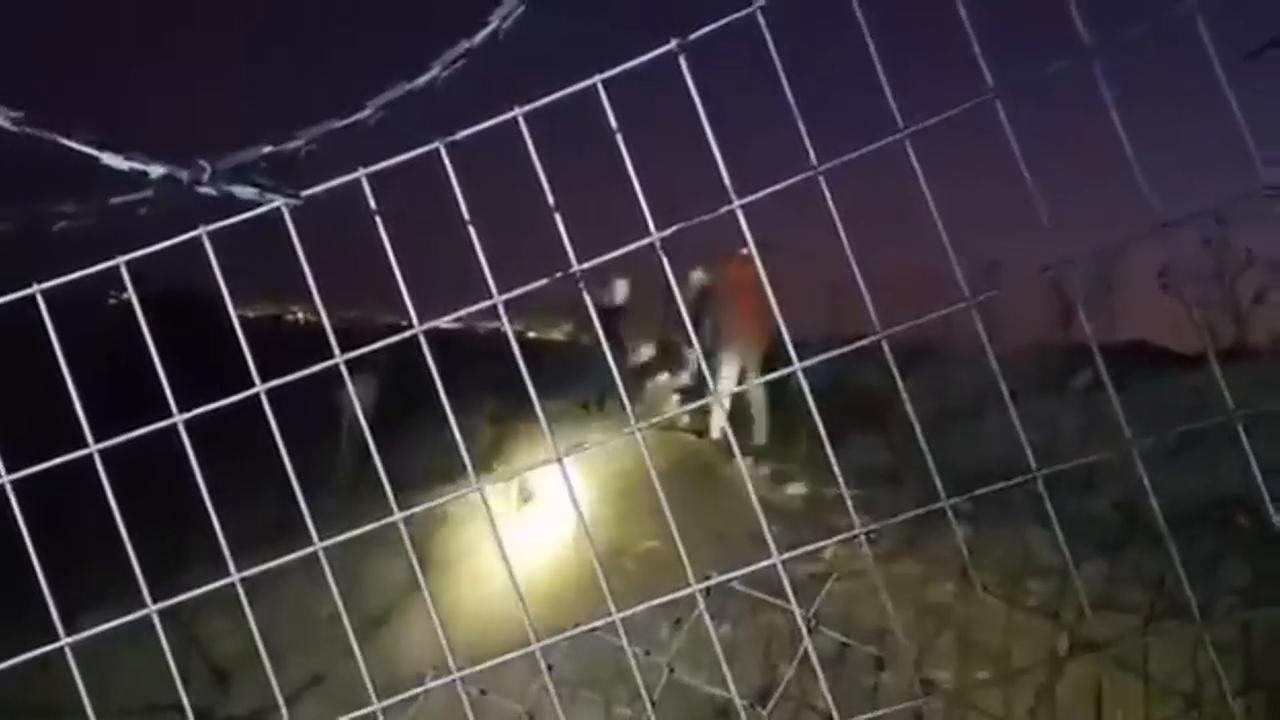 Video thumbnail for Israeli Settlers Assault International Activists in West Bank.