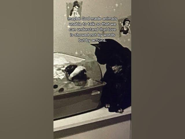 Video thumbnail for Maybe just maybe