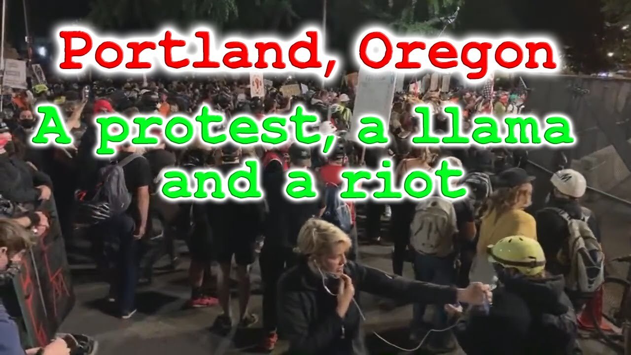 'Video thumbnail for What is really going on at the Portland Oregon Protests?  July 25th.'