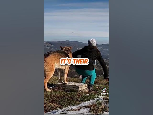 Video thumbnail for Gsd 101 2023 10 26 071434695