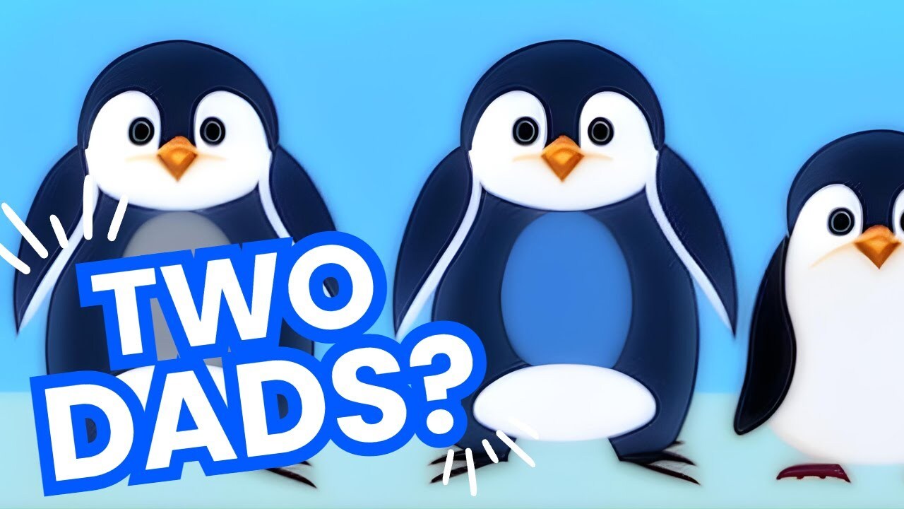 Video thumbnail for Penguin Families: Love and Diversity in the Animal Kingdom