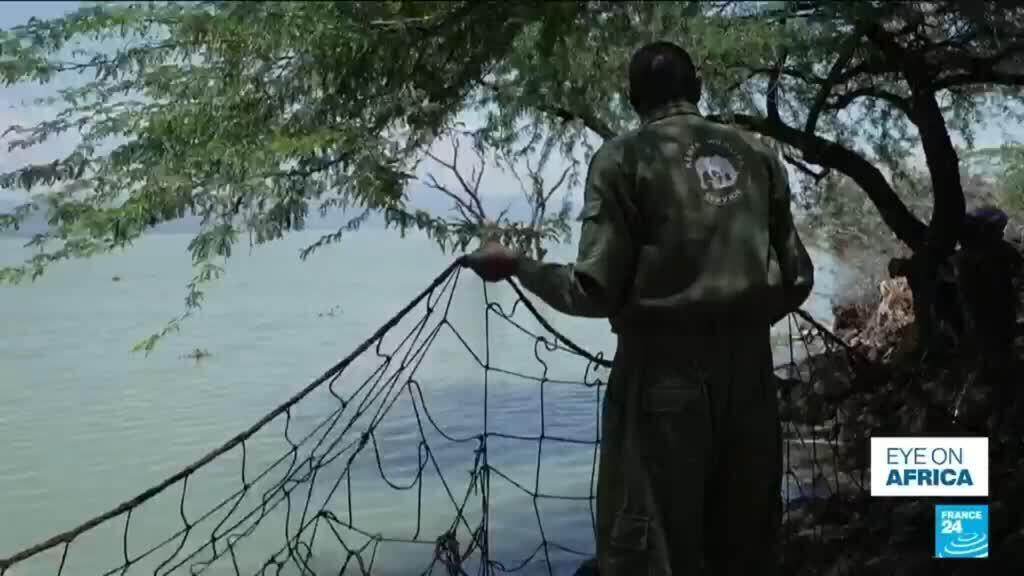 Video thumbnail for Kenya: Crocodiles pushed towards homes by rising lakes