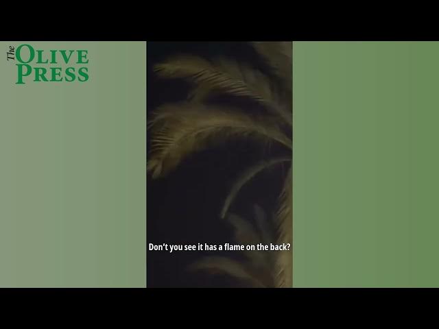 Video thumbnail for 'It's a rocket!' Missile-like light in the night sky causes panic in southern Spain