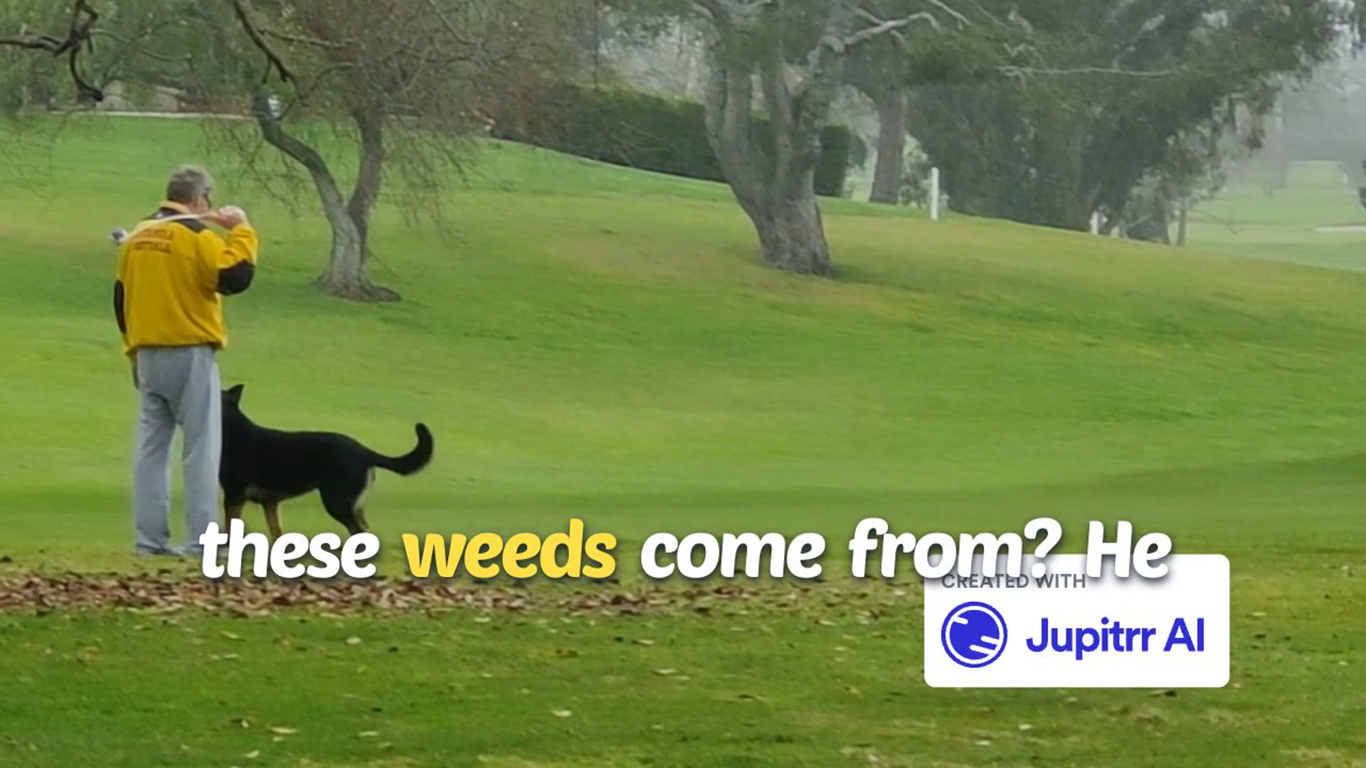 'Video thumbnail for The Gospel of Matthew - The Parable of Weeds among the Wheat| Matthew Chapter 13: 24 - 30'