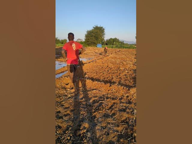 Video thumbnail for 7 August 2025