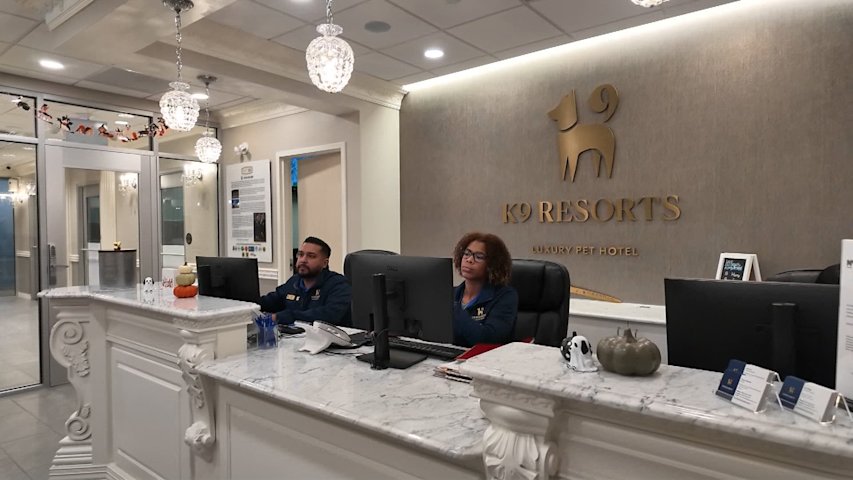 Video thumbnail for Rebuilding Brooklyn: Life's not so 'ruff' at luxury pet spa resort opens in DUMBO