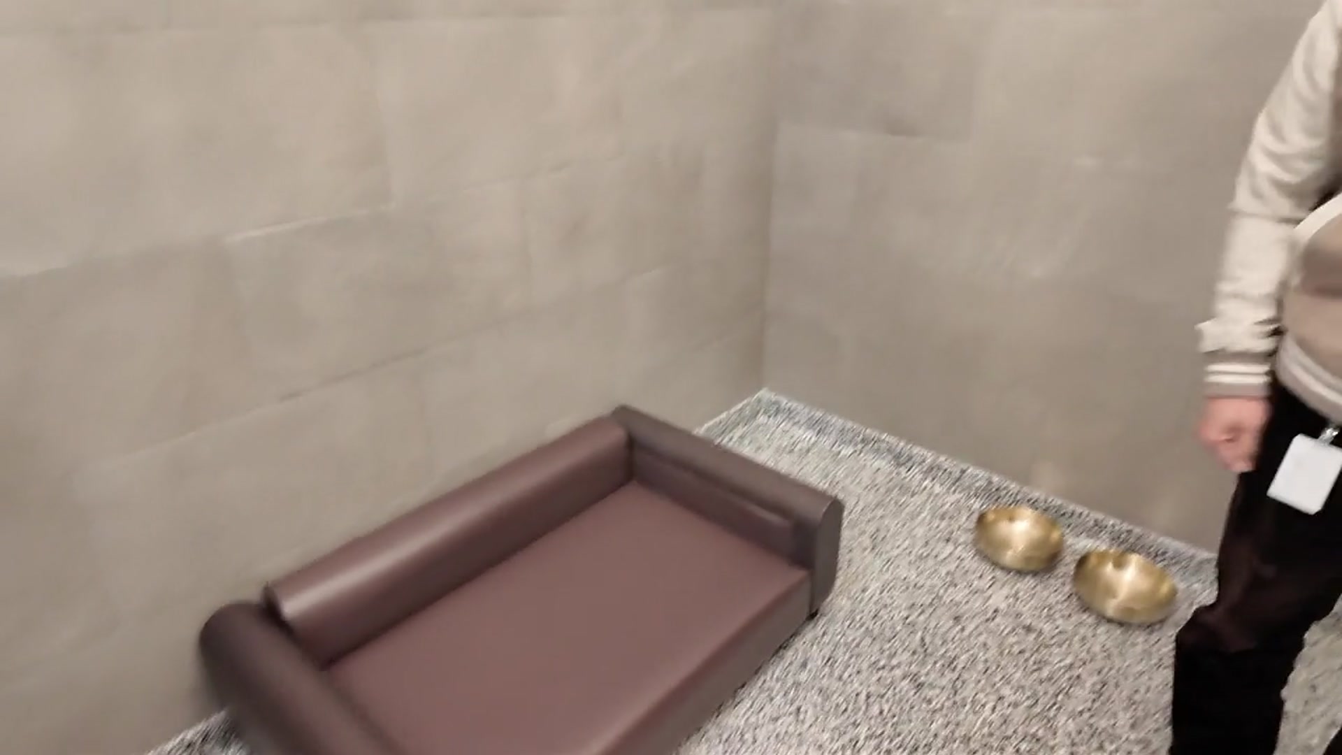 Video thumbnail for Rebuilding Brooklyn: Life's not so 'ruff' at luxury pet spa resort opens in DUMBO