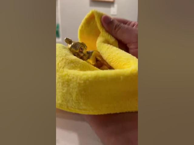 Video thumbnail for The Essence of Janmashtami: A Family Celebration