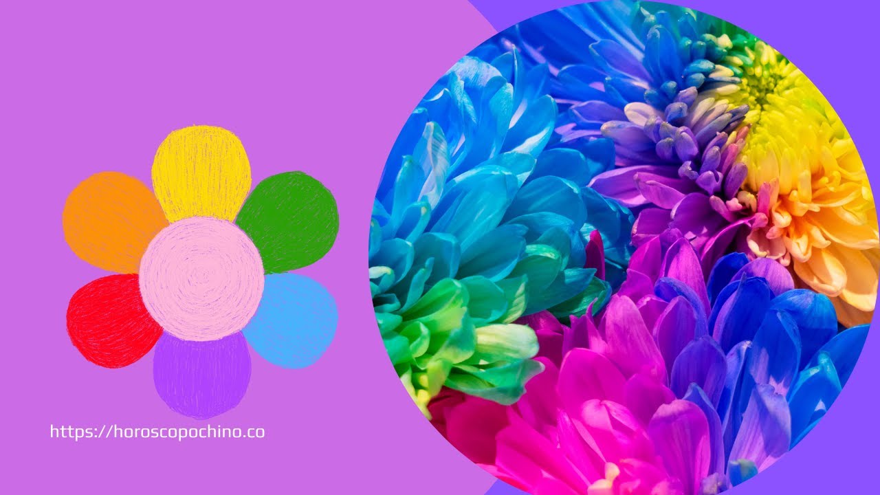 'Video thumbnail for Soñar con flores de colores: video blog'