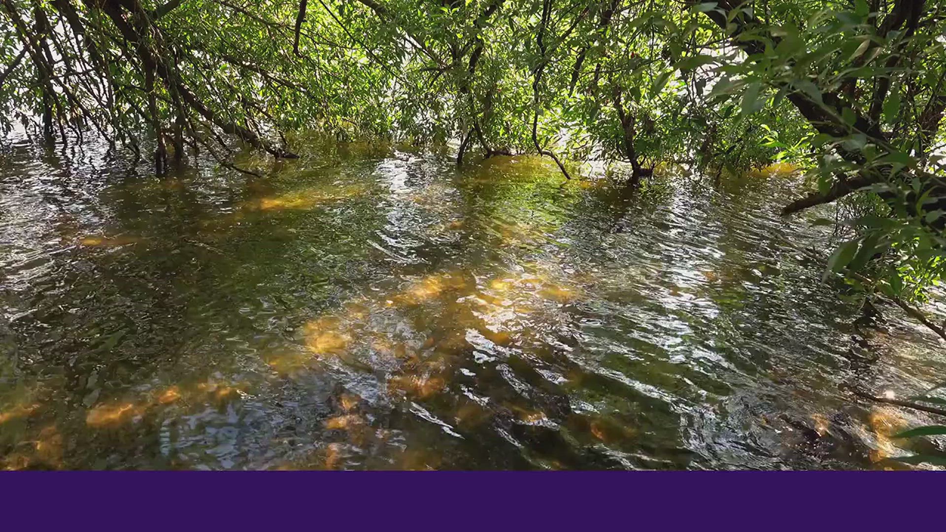 'Video thumbnail for Unveiling the Top 10 Longest Rivers | A Journey Across Continents'
