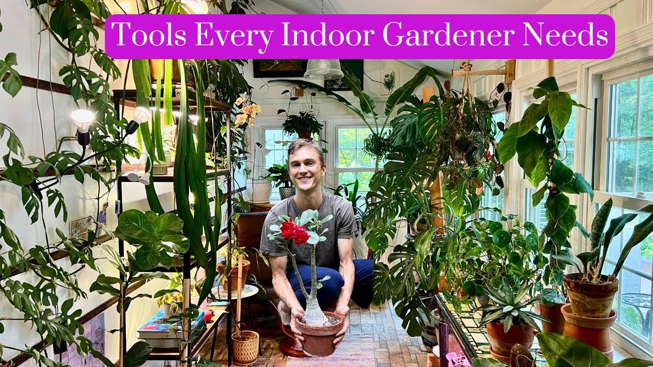 Video thumbnail for Tools Every Houseplant Gardener Needs for Indoor Plants - Part 1