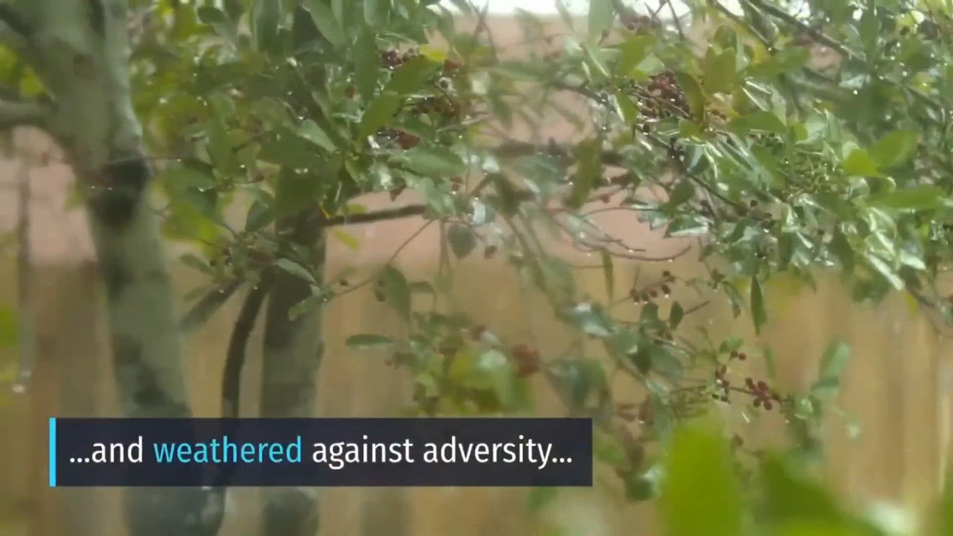 'Video thumbnail for Covid situation in India  - Growth Mindset Show Covid Edition'