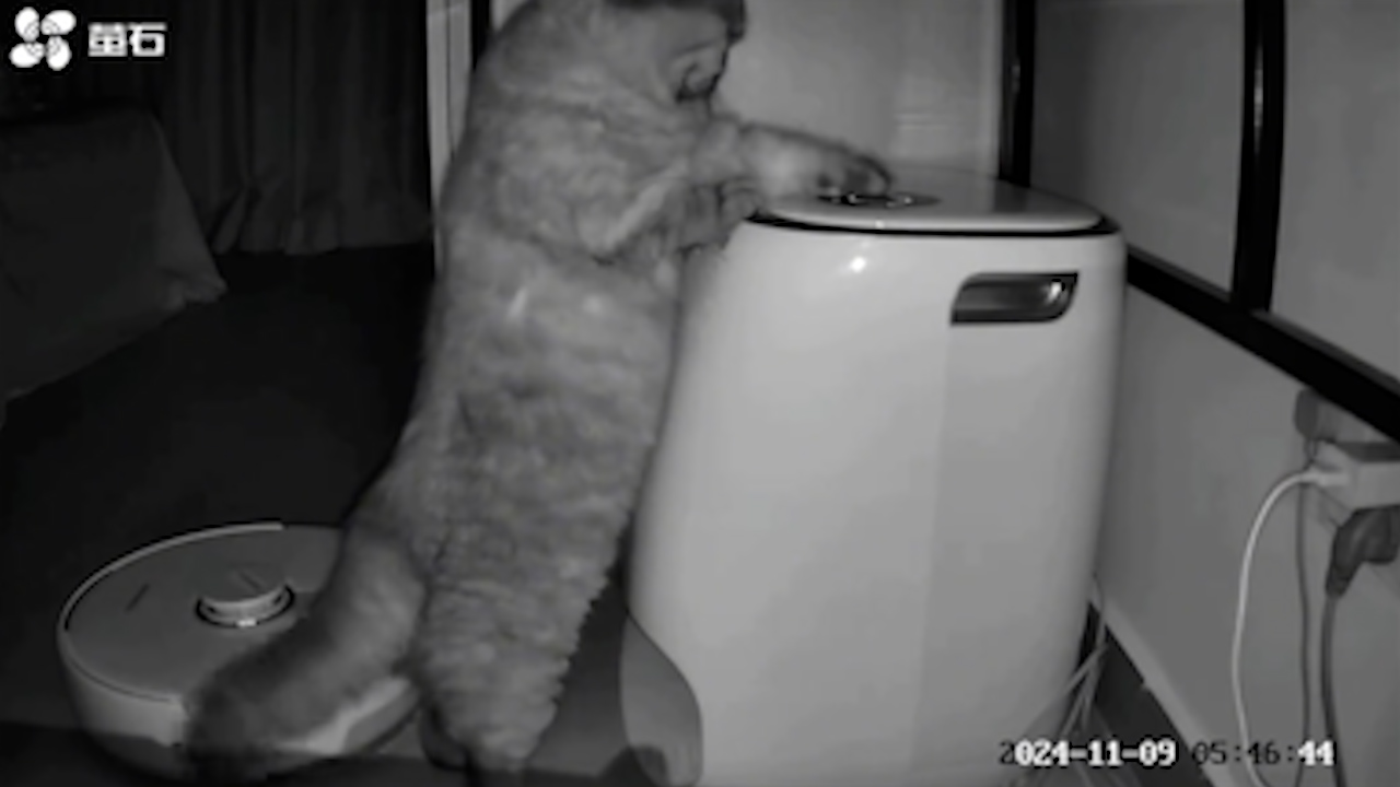 Video thumbnail for Cat Presses Button to Send Robot Vacuum Home