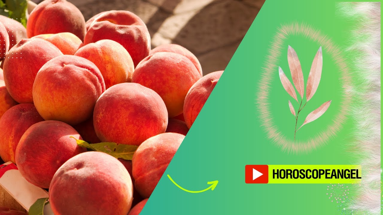 'Video thumbnail for Peach Fuzz Color:  video blog'