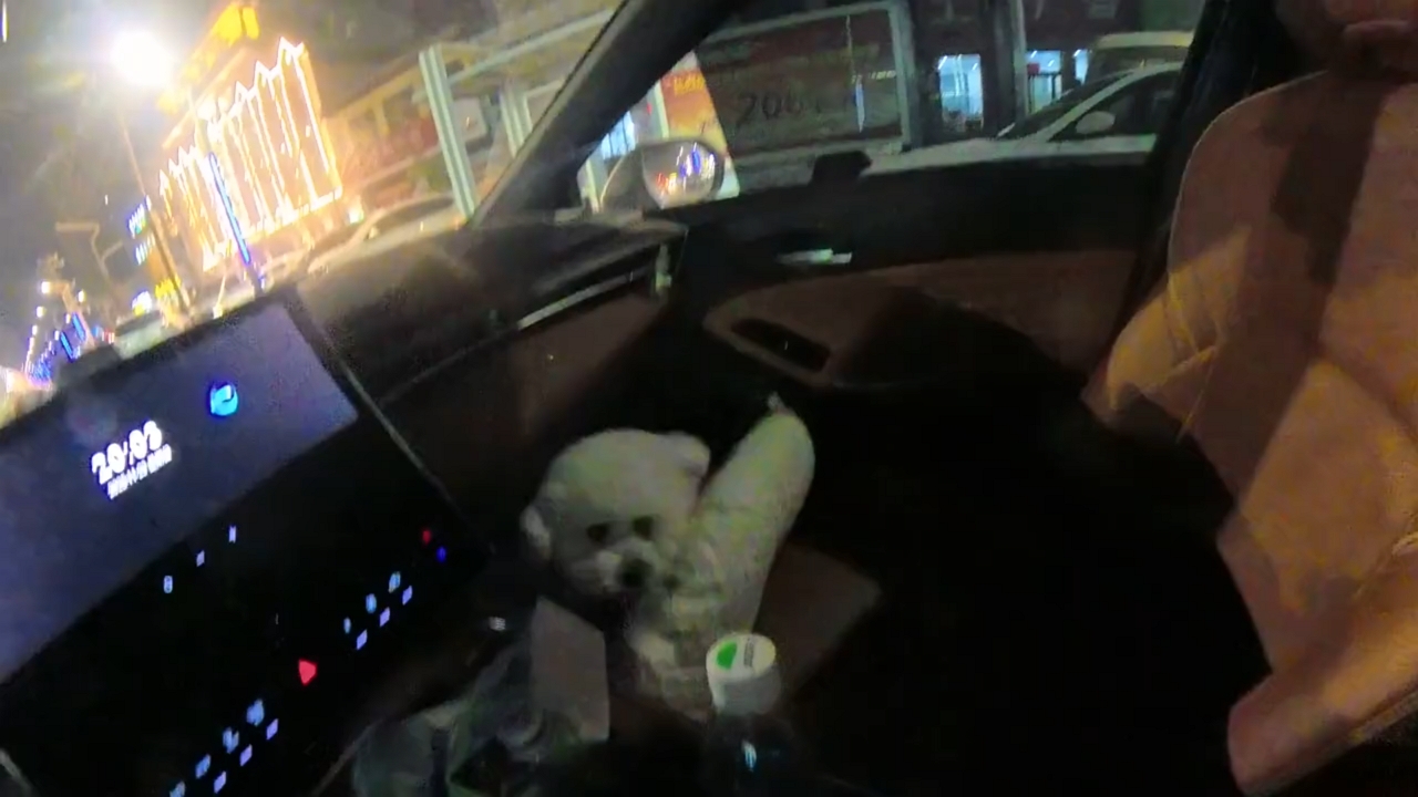 Video thumbnail for Dog Slides Off Pillow During Car Ride in Hebei