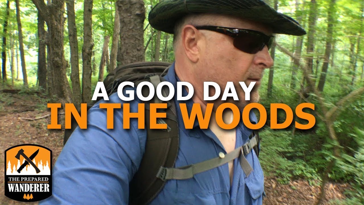 Video thumbnail for A Good Day in The Woods