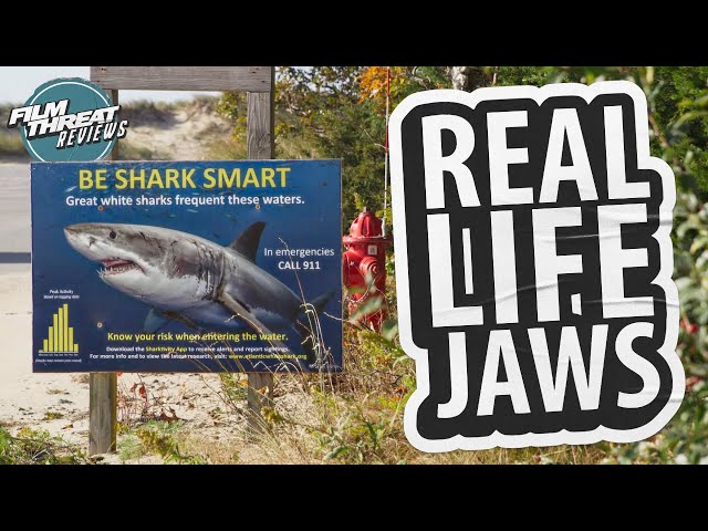 Video thumbnail for GREAT WHITE SUMMER | Film Threat Reviews