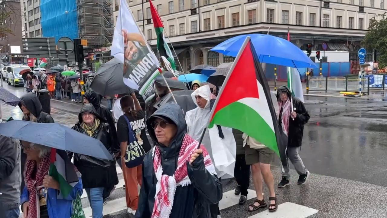 Video thumbnail for Sweden: Demonstrators gather in Stockholm to protest Israel's Gaza attacks.