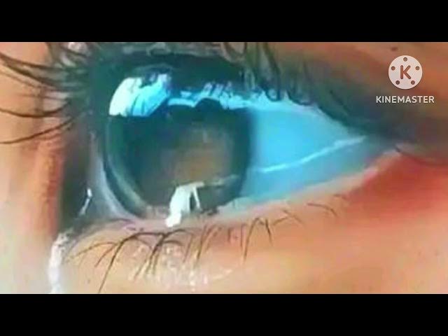 Video thumbnail for Bandit-Zira Dream (album)