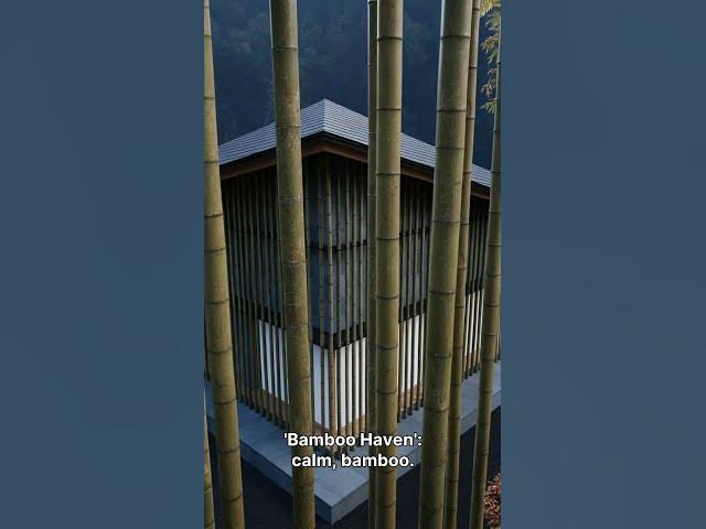 Video thumbnail for Zen Tiny Home Designs – Minimalist, Peaceful, and Sustainable Living #zen #serenity #japan #fyp