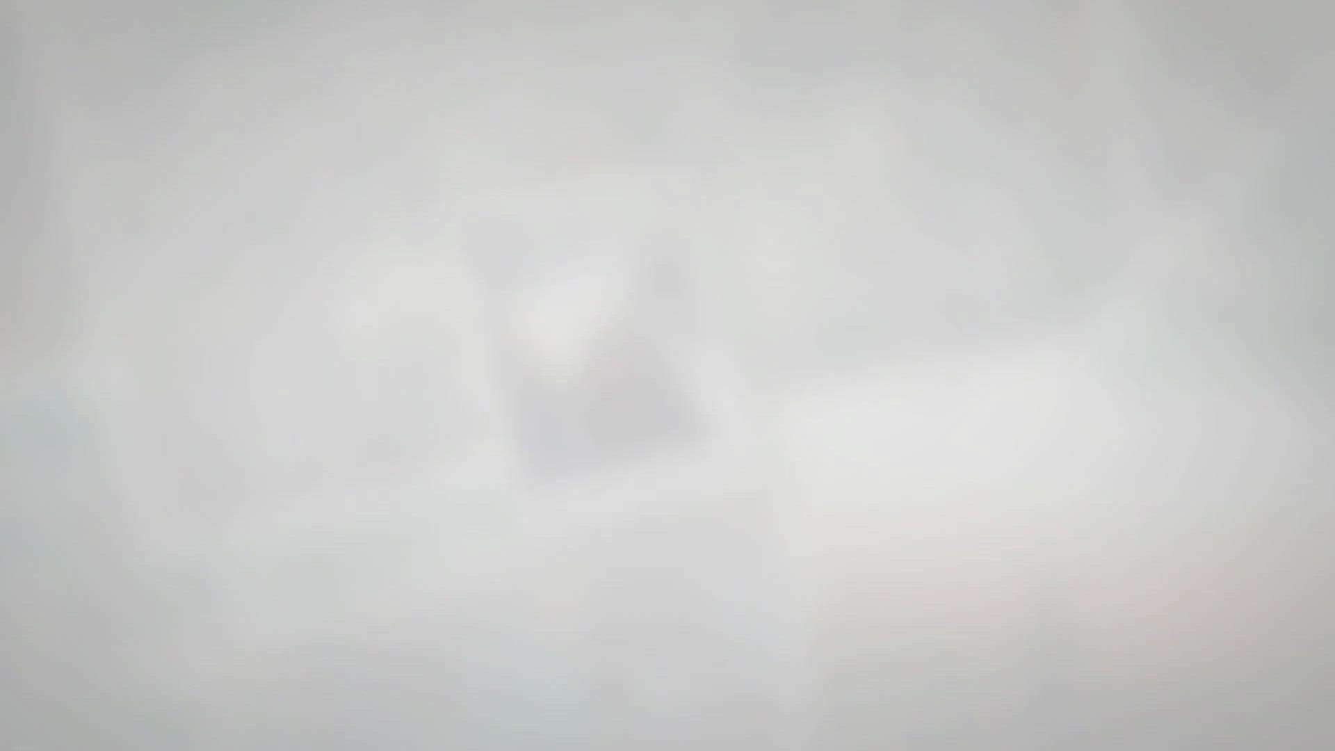 Video thumbnail for De-Shedding Dog With an Air Compressor