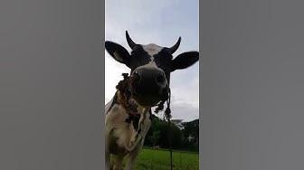 'Video playlist thumbnail'