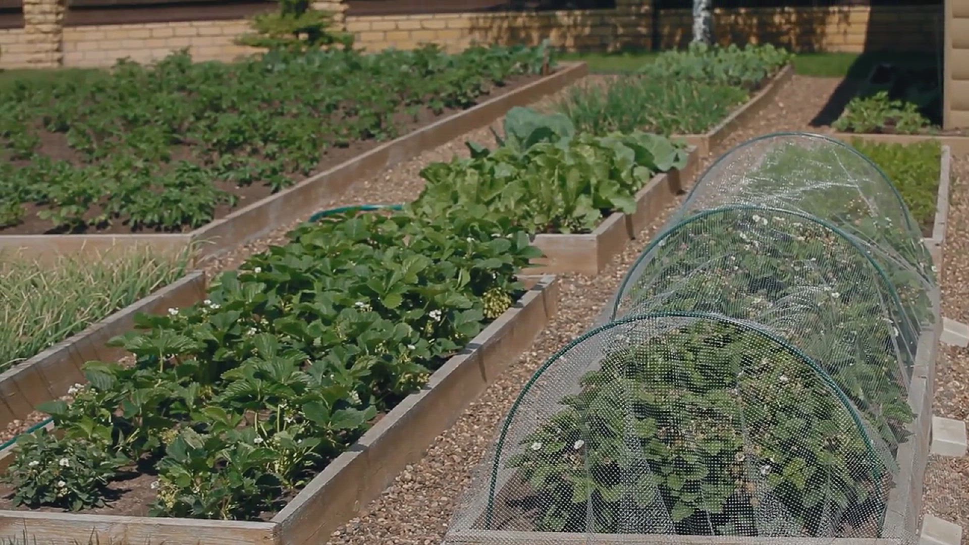 'Video thumbnail for Vertical Gardening Ideas'