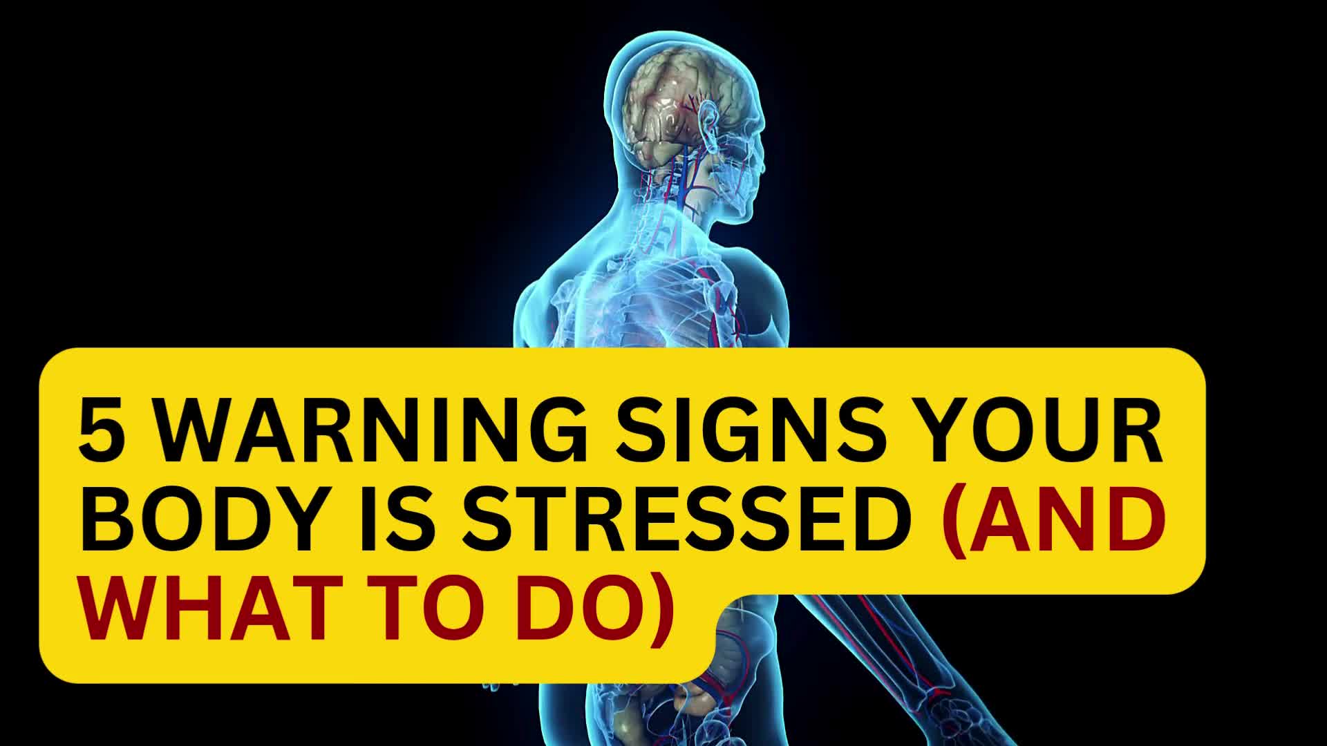 Video thumbnail for 5 Warning Signs Your Body Is Stressed (and What to Do)