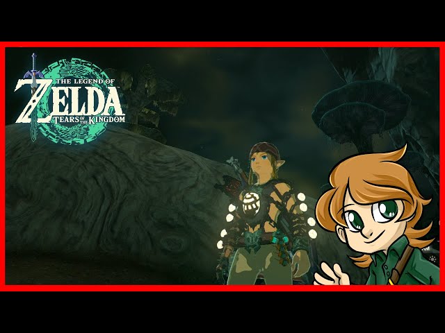 Video thumbnail for Finish the Fight - TLoZ: Tears of the Kingdom Blind - 24