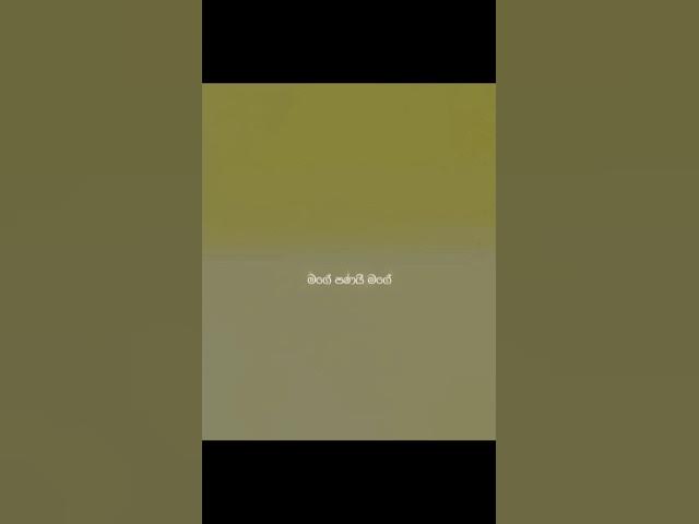 Video thumbnail for අම්මා #amma #mother #magepanai