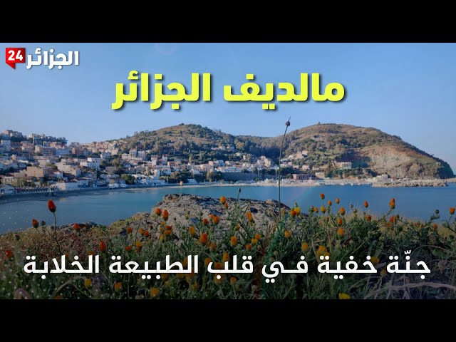 Video thumbnail for خليج شطايبي في الجزائر.. جنة خفية في قلب الطبيعة الخلابة