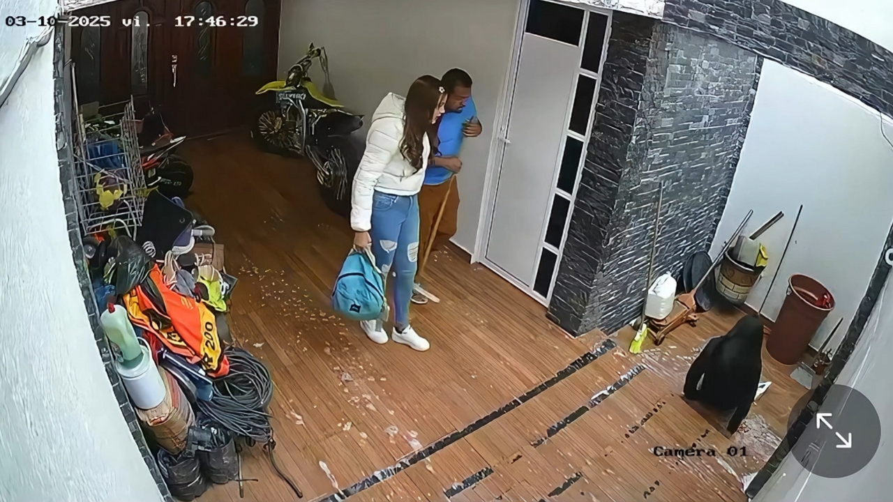 Video thumbnail for Woman Slips on Wet Floor While Rushing Out in Mexico