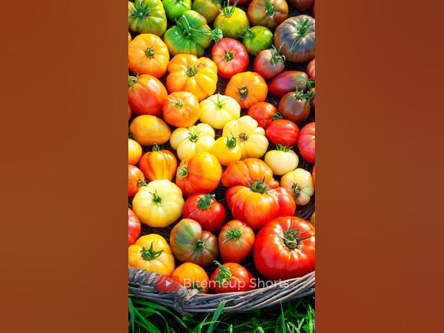 Video thumbnail for 10 Types of Tomatoes #tomatoes