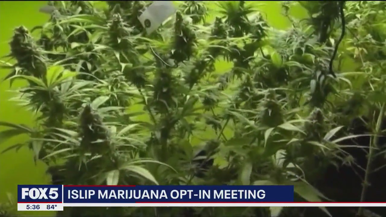 Video thumbnail for Long Island officials postpone vote on opening recreational marijuana stores