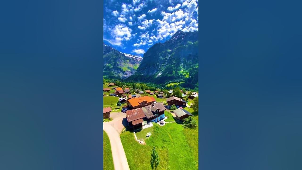 Video thumbnail for #nature butterfly #status #whatsappstatus #reels #omxmedia