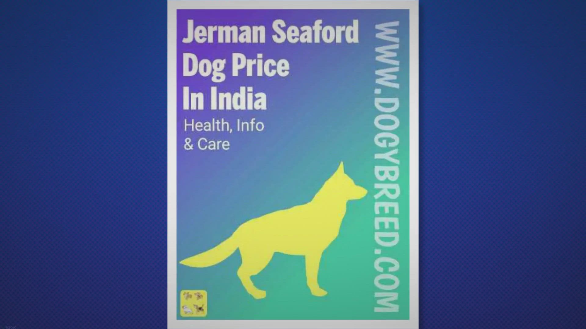 'Video thumbnail for Jerman Seaford Dogs Price In India – Buying Guide, Lifespan And More in 2022'