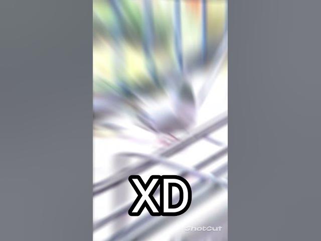 Video thumbnail for DISCO GOŁĄB